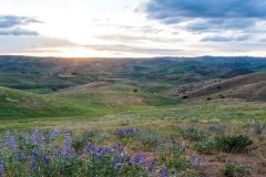 Land